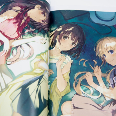 Kurehito Misaki Art Book: Saekano: How To Raise A Boring Girlfriend (Last Volume) Fine. (Japanese Edition)