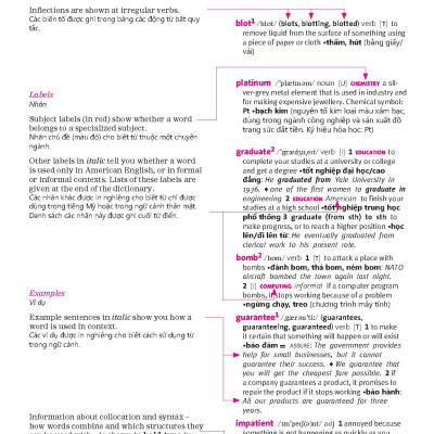 Macmillan Dictionary Vietnam ED with App – Soft cover