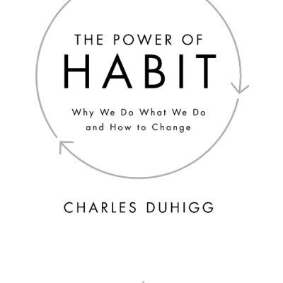 The Power of Habit : Why We Do What We Do and How to Change