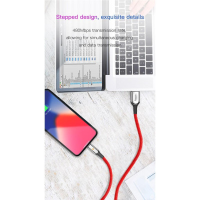 Cáp sạc nhanh Baseus X- shaped Light chân Lightin và Type C - Hàng Chính Hãng