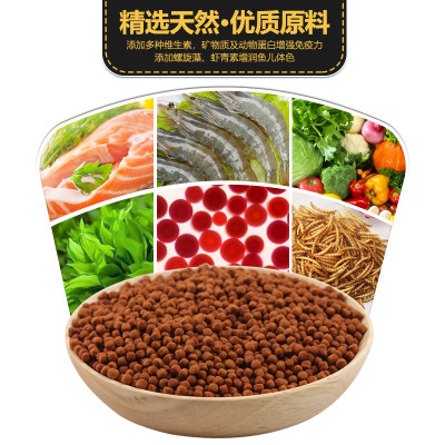 Thức ăn kích màu cho Rùa Nước hãng KAMA - Cám dinh dưỡng cho rùa nước - thức ăn rùa nước