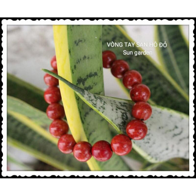 VÒNG TAY PHONG THỦY SAN HÔ ĐỎ MAY MẮN BÌNH AN