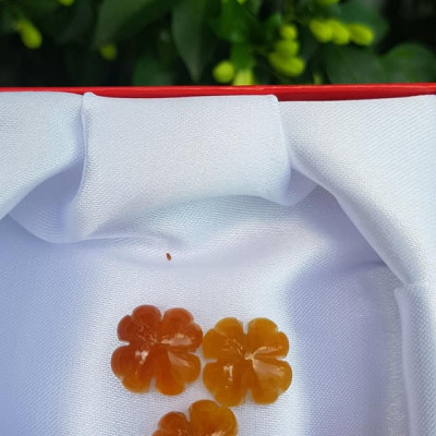 Mặt Bông Hoa cỏ 4 lá màu vàng cam nữ phối vòng tay,làm mặt nhẫn Chất liệu đá cẩm thạch size hạt 14mm x dầy 6mm Nữ về phối với vòng tay của mình đeo hay làm mặt nhẫn mặt dây chuyền đeo xinh ạ
