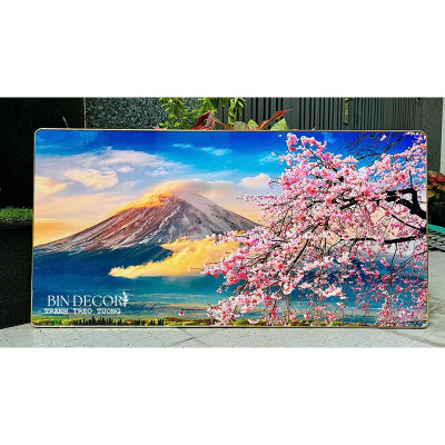 (ẢNH CHỤP) Tranh treo tường tráng gương núi phú sĩ và cành hoa uv mặt mica sáng bóng
