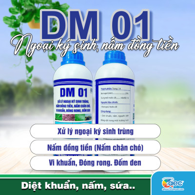DM 01 – Giải pháp kiểm soát nấm đồng tiền, bảo vệ tôm cá khỏe mạnh