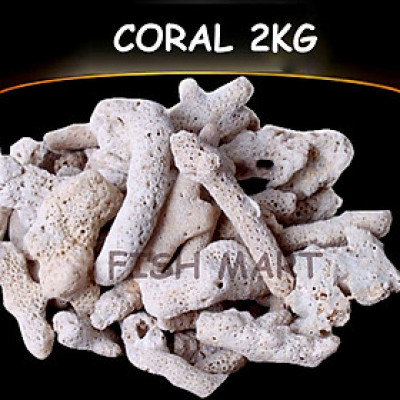 2KG San Hô Vụn vật liệu lọc hồ cá, trang trí bể cá, hồ thủy sinh cao cấp