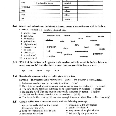 English Vocabulary In Use Advance