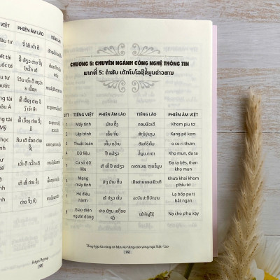 COMBO 2 cuốn: 30 ngày trôi chảy tiếng Lào + Tổng hợp từ vựng cơ bản và nâng cao song ngữ Việt - Lào