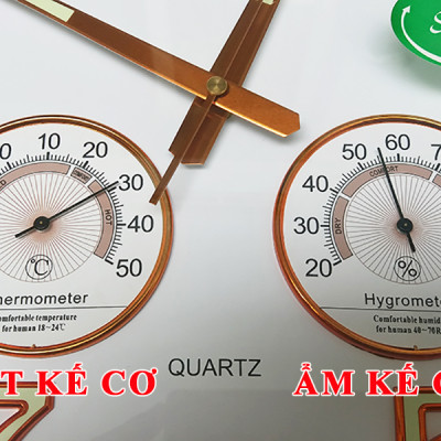 Đồng Hồ EASTAR Mặt Tròn có DẠ QUANG và Đồng hồ CƠ Đo NHIỆT ĐỘ & ĐỘ ẨM - Máy KIM TRÔI - Tặng Pin Maxell