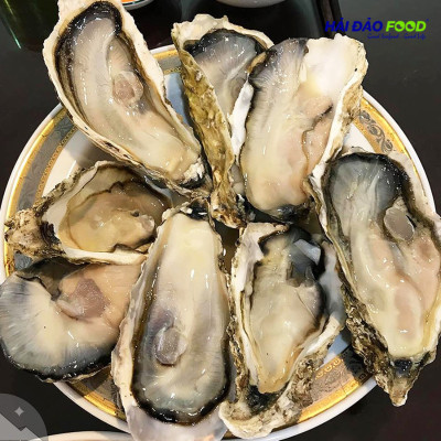 Hào Nhật Túi Size 7-10 Con/Kg