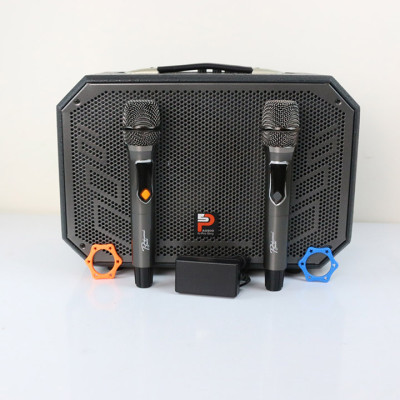 Loa kéo ProSing W8-Alisa - Loa karaoke nhỏ gọn, công suất 100W - Hàng Chính Hãng