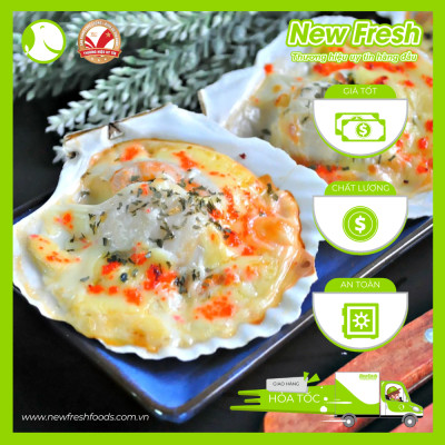 [GIAO NHANH HCM] Sò Điệp Nhật Nửa Mảnh Lớn - Túi 1Kg (8-12 con)