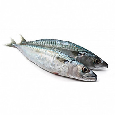 [Chỉ Giao HCM] - CÁ NỤC ALO FISH 300G