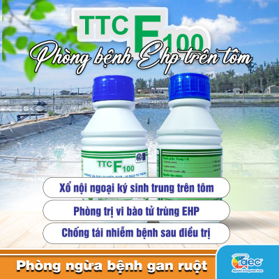 TTC F100 – Giải pháp kiểm soát EHP cho tôm nuôi thâm canh và siêu thâm canh