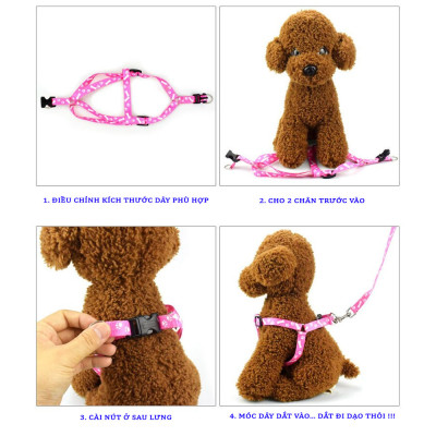 Dây Dắt Yếm Cho Chó Mèo Họa Tiết Xinh Xắn Bản 1cm 