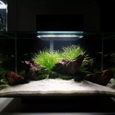 Cát Thạch Anh 2KG + Than Hoạt Tính 1KG vật liệu lọc nước, trang trí bể cá, hồ thủy sinh