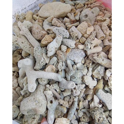 San hô vụn lọc nước bể cá 1kg