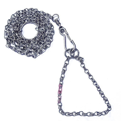 Dây xích và vòng cổ inox cho chó 