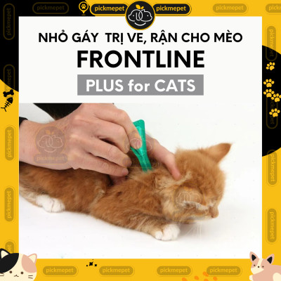 Nhỏ Ve Rận, Bọ Chét Frontline Plus Cho Mèo Trên 2 tháng
