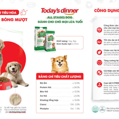 [ 1KG ] Thức ăn hạt cho chó mọi lứa tuổi TODAY