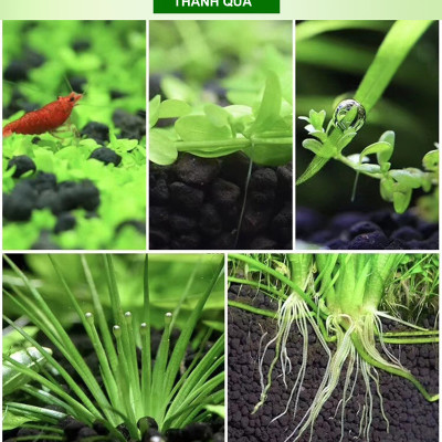 Đất Nền Trồng Cây Thủy Sinh, Phân nền SMEKONG 2KG giàu dinh dưỡng, trang trí bể cá