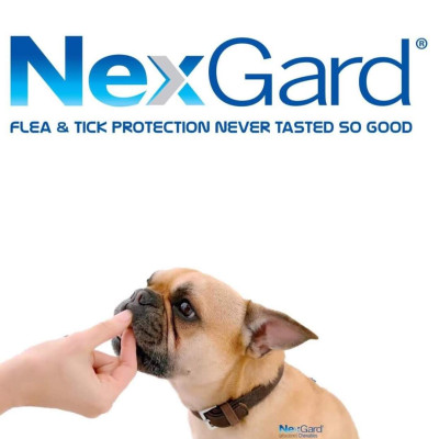 1 viên NexGard trị ghẻ, ve rận, bọ chét (chó từ 25 - 50kg)