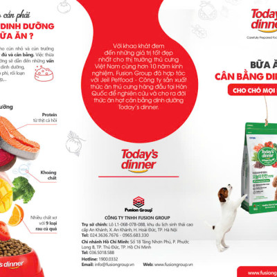 [ 1KG ] Thức ăn hạt cho chó mọi lứa tuổi TODAY