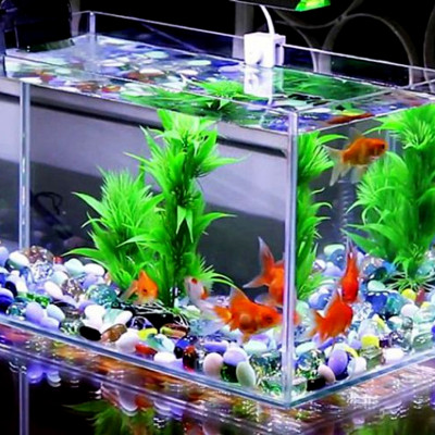 Máy lọc nước bể cá cảnh Electrical RS188 ( 12W, 800L/H) - Máy lọc chìm 