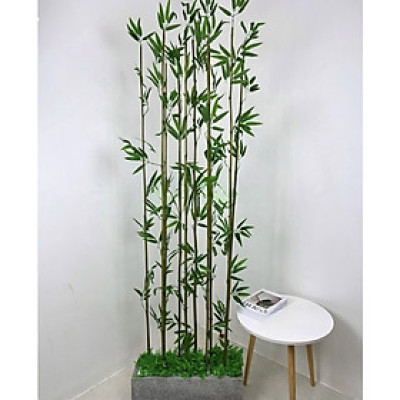 Cây trúc, tre giả - Size từ 120cm đến 200cm - Cây giả, hoa lụa Decor trang trí nhà cửa