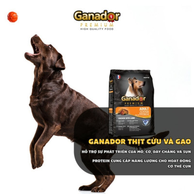 Thức ăn cho chó trưởng thành Ganador vị thịt cừu & gạo Lamb & Rice 3 kg