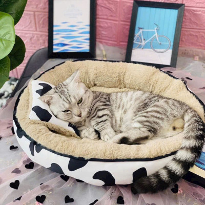 NỆM BÒ SỮA TRÒN SIÊU ÊM MỀM MỊN DƯỚI 6KG DÀNH CHO THÚ CƯNG CHÓ MÈO