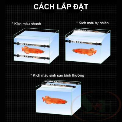 Đèn led Neo Helios Solar Color Booster ST series kích tanning màu bể cá tép thủy sinh cảnh