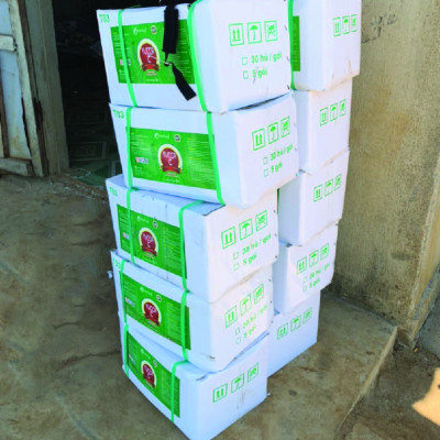 Hấp thụ khí độc ao tôm YUCCA C