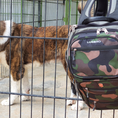 Balo LUGBRO GAMING EU LBV010CJ