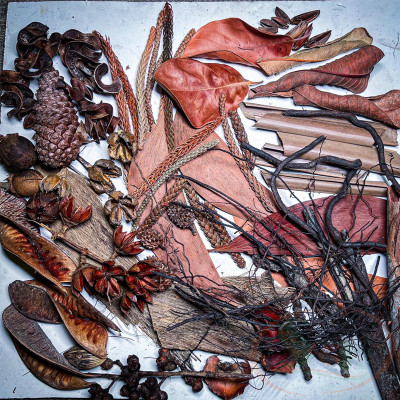 Túi nguyên liệu lá quả khô tự nhiên trang trí bể cá tép biotop bán cạn