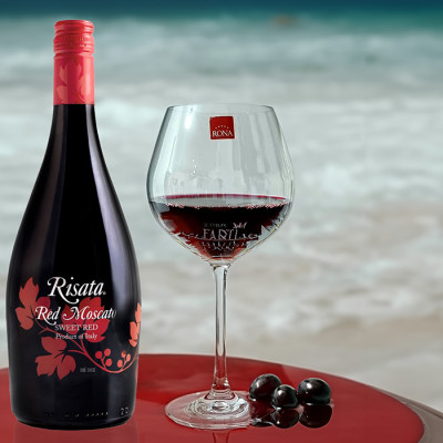 Bộ 2 ly pha lê uống vang Rona 650 ml Slovakia Czech Republic