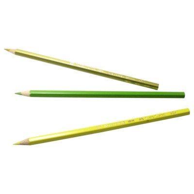 Chì Màu Nước Parrot - 24 Màu Dài - Faber-Castell 114464