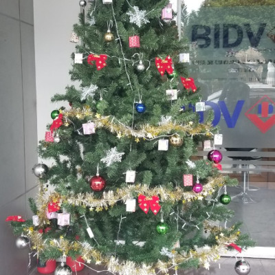 Cây thông noel màu xanh cao 3m - Trang trí cho noel thêm an lành