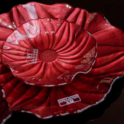 Đĩa IVV MAGNOLIA đỏ hàng chính hãng