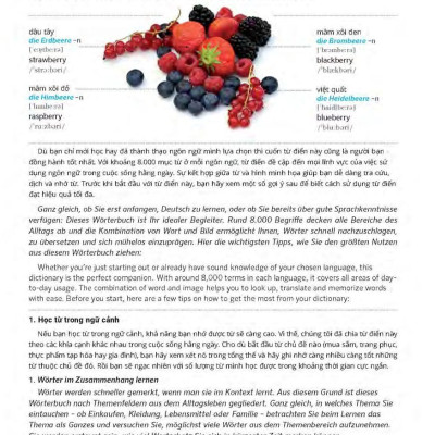 Pons General Reference – Trilingual Visual Dictionary Vietnamese – German – English