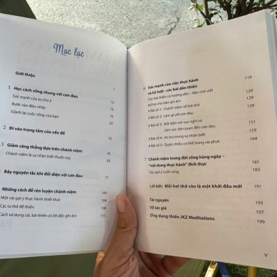 (Bìa Cứng) GIẢM ĐAU ĐỚN BẰNG THIỀN ĐỊNH - Jon Kabat-Zinn - Lê Hồng Vân dịch – PACE Books - NXB Dân Trí