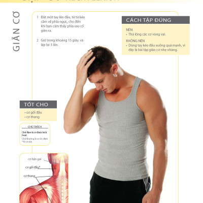 Khỏe Đẹp Với Các Bài Tập Cơ Bản