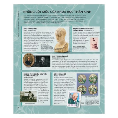 Não Chúng Ta Có Gì Và Làm Gì? (Sách Màu - Bìa Cứng)