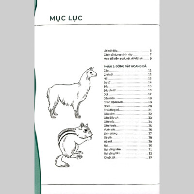 Hướng Dẫn Vẽ 100 Loài Động Vật Hoang Dã