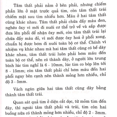 Bệnh Tim - Chế Độ Dinh Dưỡng Và Tập Luyện