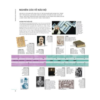 Não Chúng Ta Có Gì Và Làm Gì? (Sách Màu - Bìa Cứng)