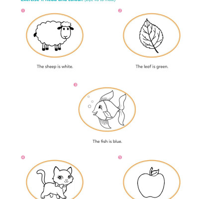 Big Hero - Chinh Phục Tiếng Anh Theo Chủ Đề Lớp 1