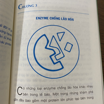 Enzyme chống lão hoá (TB)_Hiromi Shinya