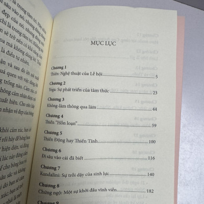 THỰC HÀNH ÁM THỊ VÀ TỰ KỶ ÁM THỊ - PHƯƠNG PHÁP ÁM THỊ ĐỂ THAY ĐỔI TÂM THỨC - Émile Coué - Lương Xuân Bách dịch - Bách Việt - NXB Phụ Nữ Việt Nam.