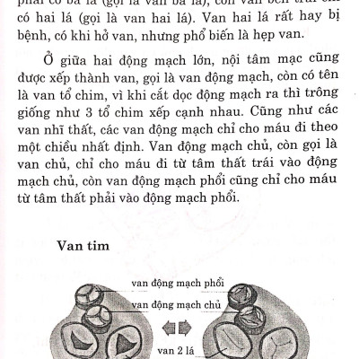 Bệnh Tim - Chế Độ Dinh Dưỡng Và Tập Luyện